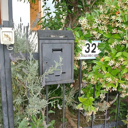Casa Mimosa * אימפריה